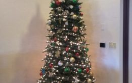 Residents Give Hope this Holiday Season - Christmas Tree