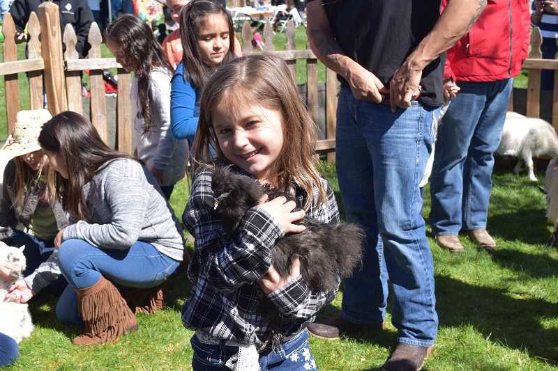 Families Rediscover Rancho Sahuarita Over Rodeo Weekend - Mammal