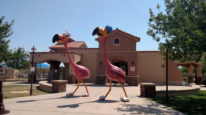 Flamingos Arrive for New Flamingo Splash Pad in Rancho Sahuarita - Tourist attraction