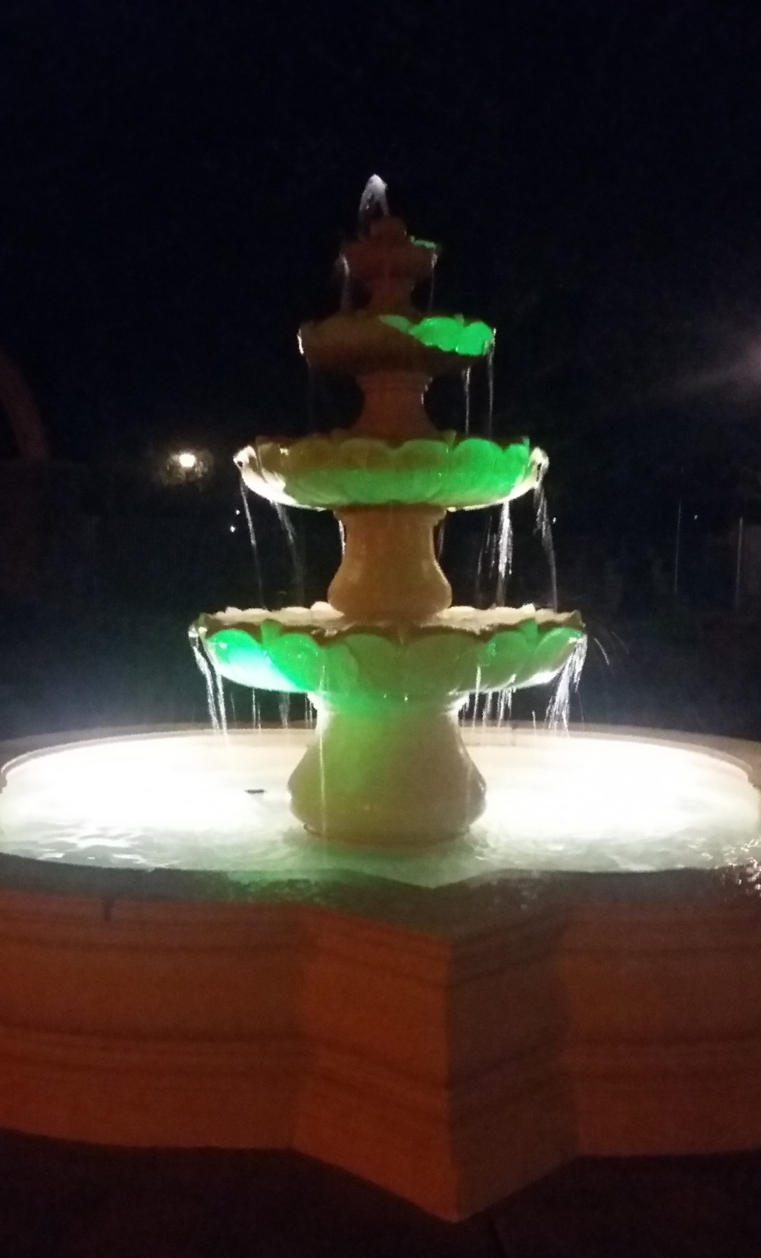 Greenlight a Vet - Fountain