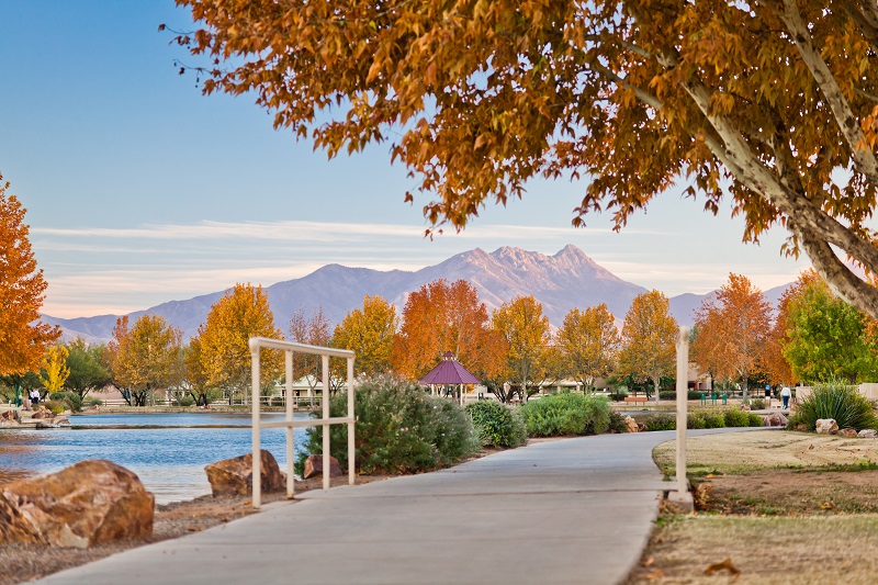 Welcoming in the Fall this Month, in Rancho Sahuarita