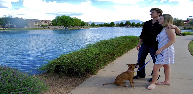 Movoto Ranks Sahuarita #3 Best Town for young professionals - Dog