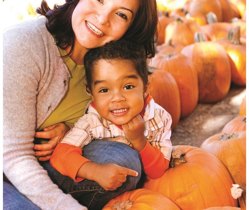 Harvest Happiness in Rancho Sahuarita