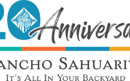 20 Year anniversary logo