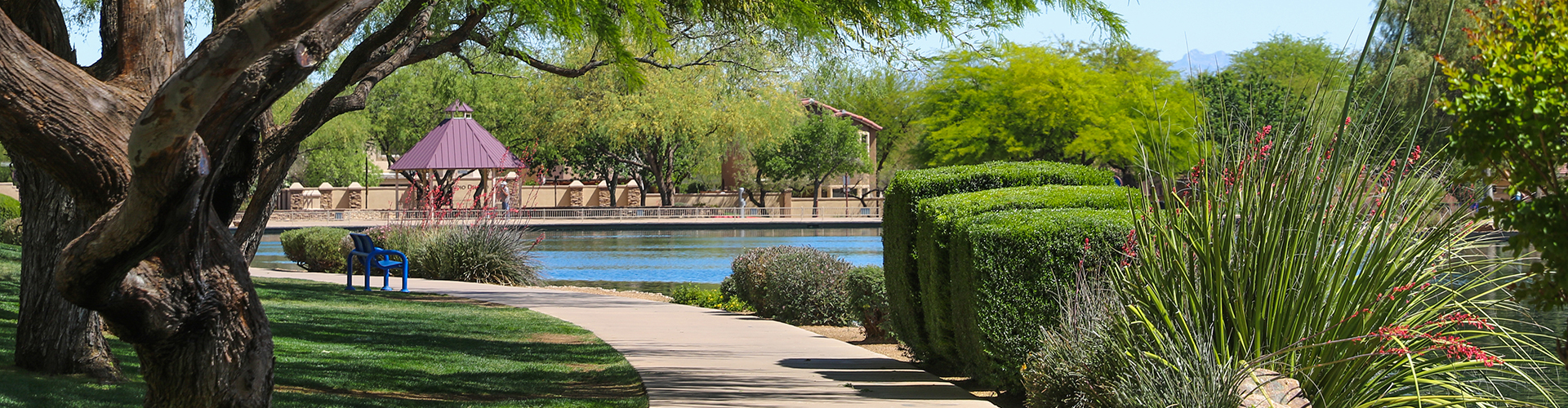 Rancho Sahuarita Lake Path