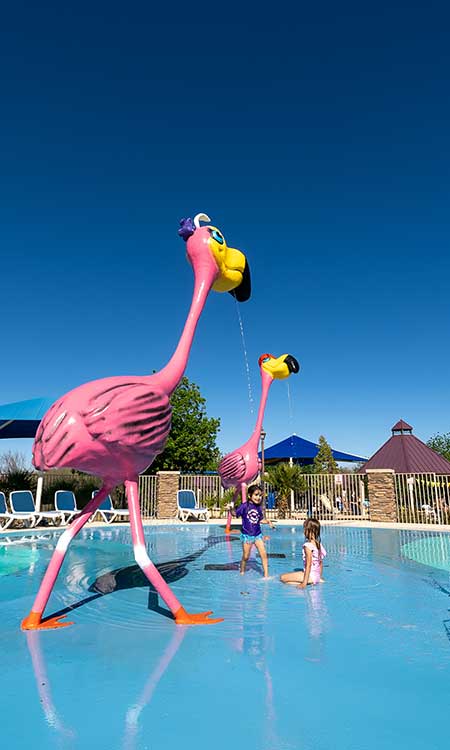 Flamingo Splash Pad