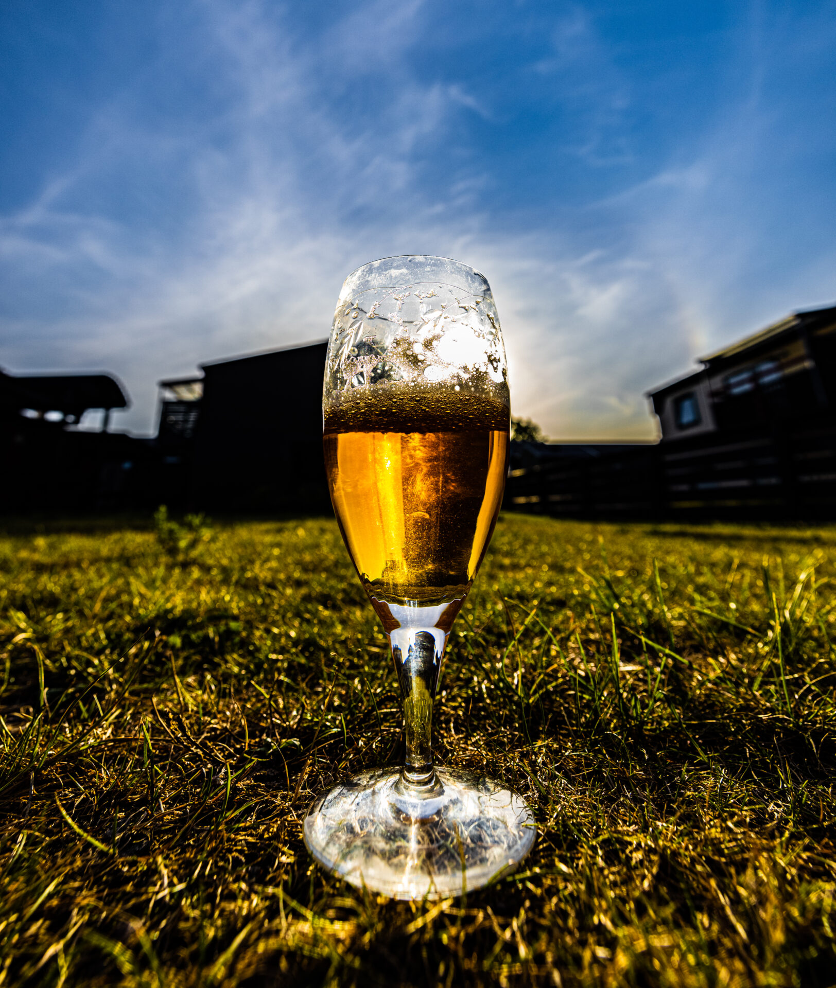 A tall champagne flute filled with beer stands on a grassy field in the foreground. The sun is setting in the background, casting a warm glow over the scene and creating a dramatic contrast between light and shadow.