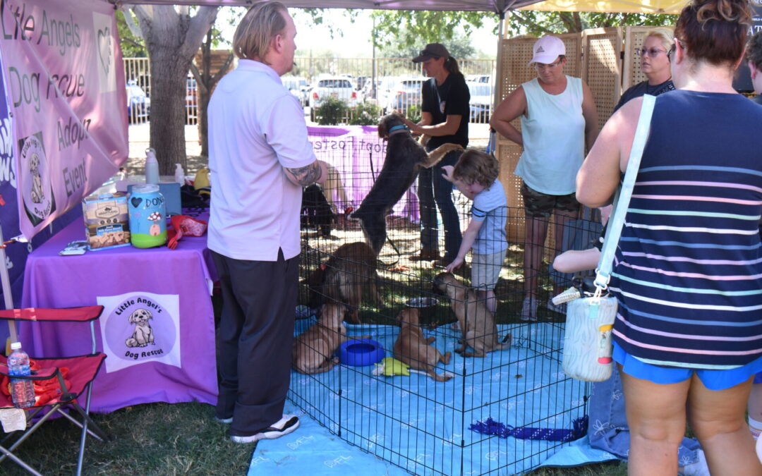 RELEASE: #LOVEPUP Family Fest Back This October at Rancho Sahuarita