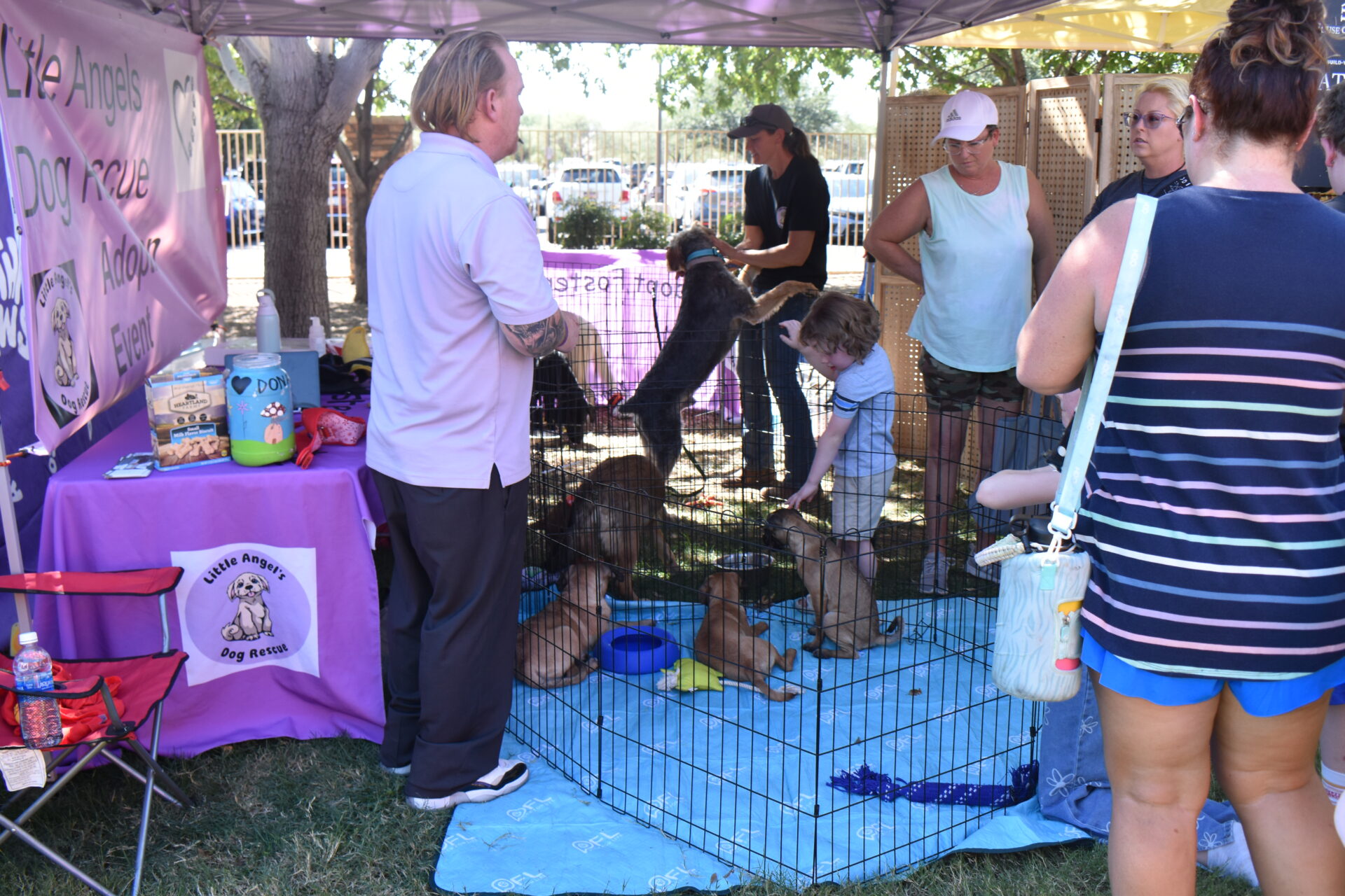People gather around a fenced area at an outdoor dog adoption event, interacting with several puppies. A banner reads "Little Angels Dog Rescue." Supplies and informational pamphlets are on a nearby table.