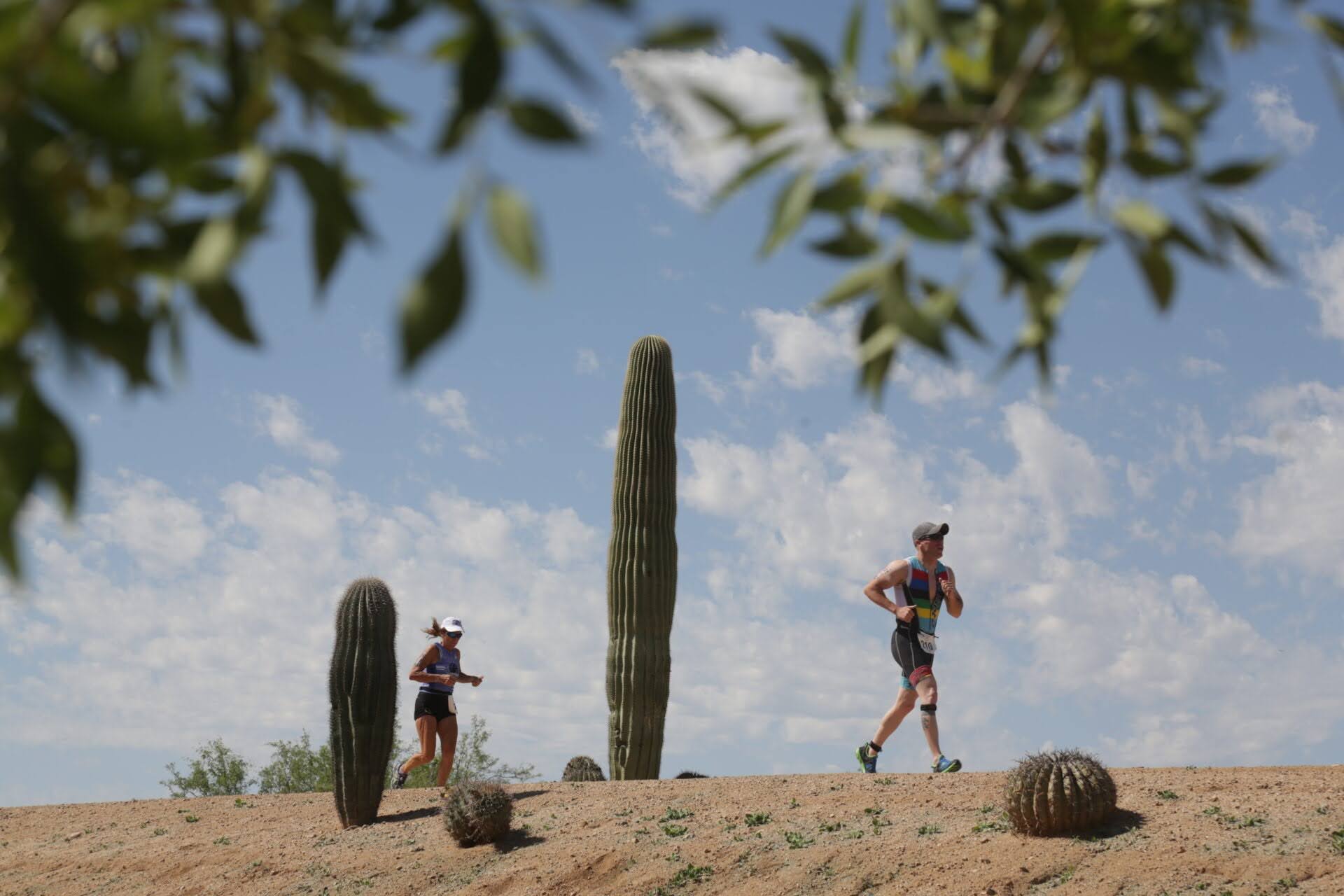 Two runners in athletic gear jog along a sandy desert trail, passing tall cacti and smaller barrel cacti under a partly cloudy sky, with tree branches framing the scene.