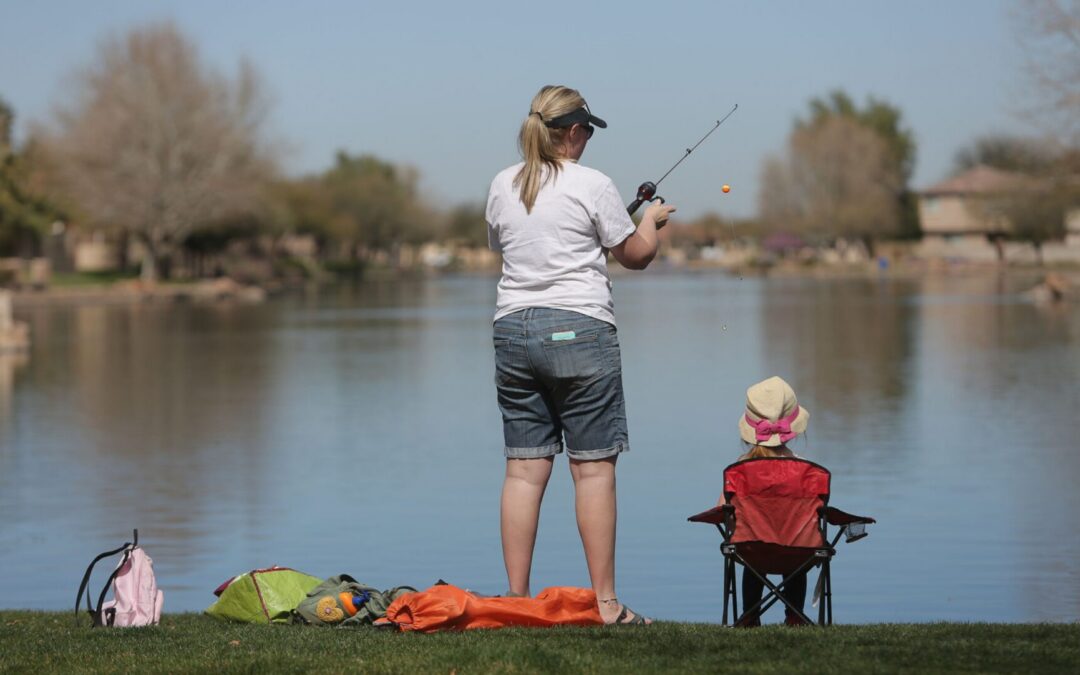 What “All in Your Backyard” Really Means in Everyday Life