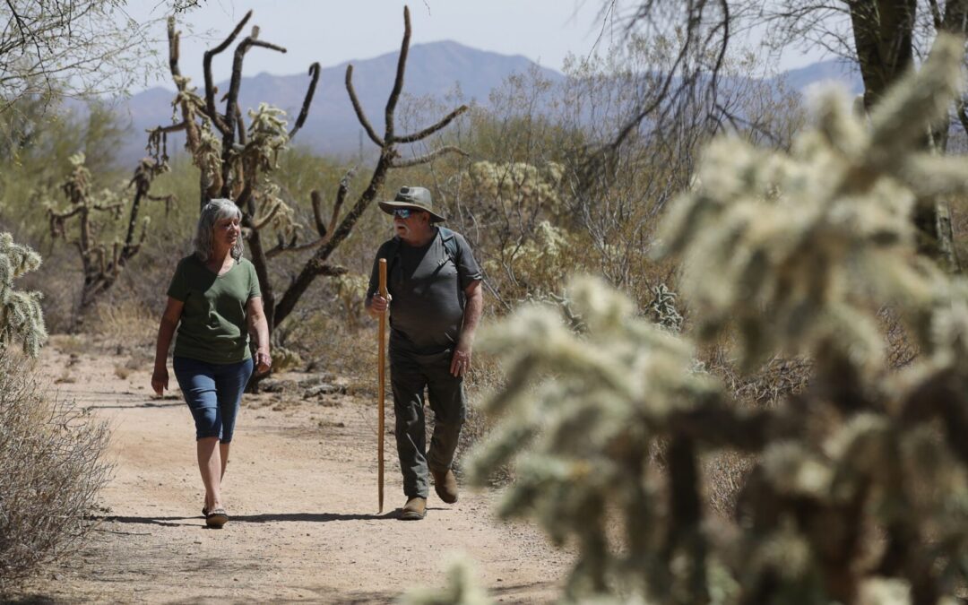Living in Arizona Heat: What Makes Daily Life Easier