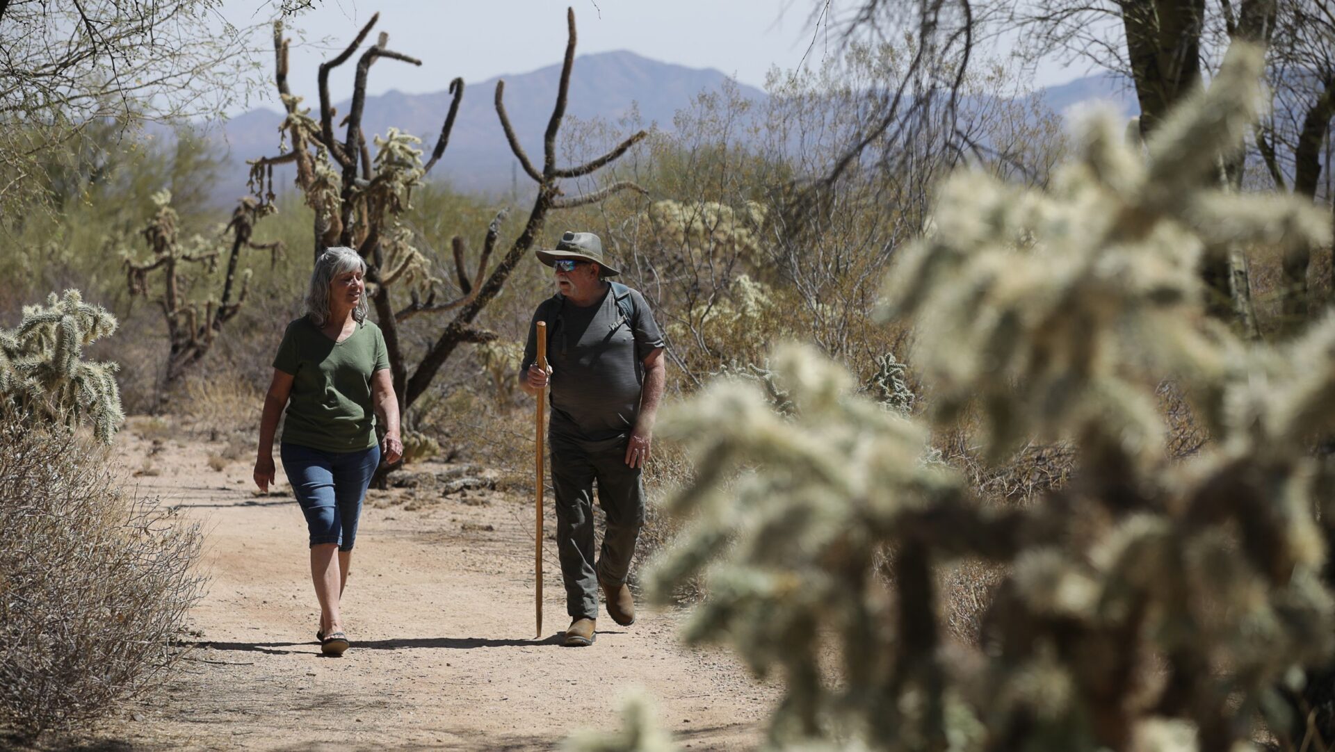 On a Trail in Arizona Two people walk on a desert trail surrounded by cacti and dry vegetation, embracing the reality of living in Arizona heat. One holds a walking stick as they journey beneath the clear sky, with rugged mountains rising in the background.