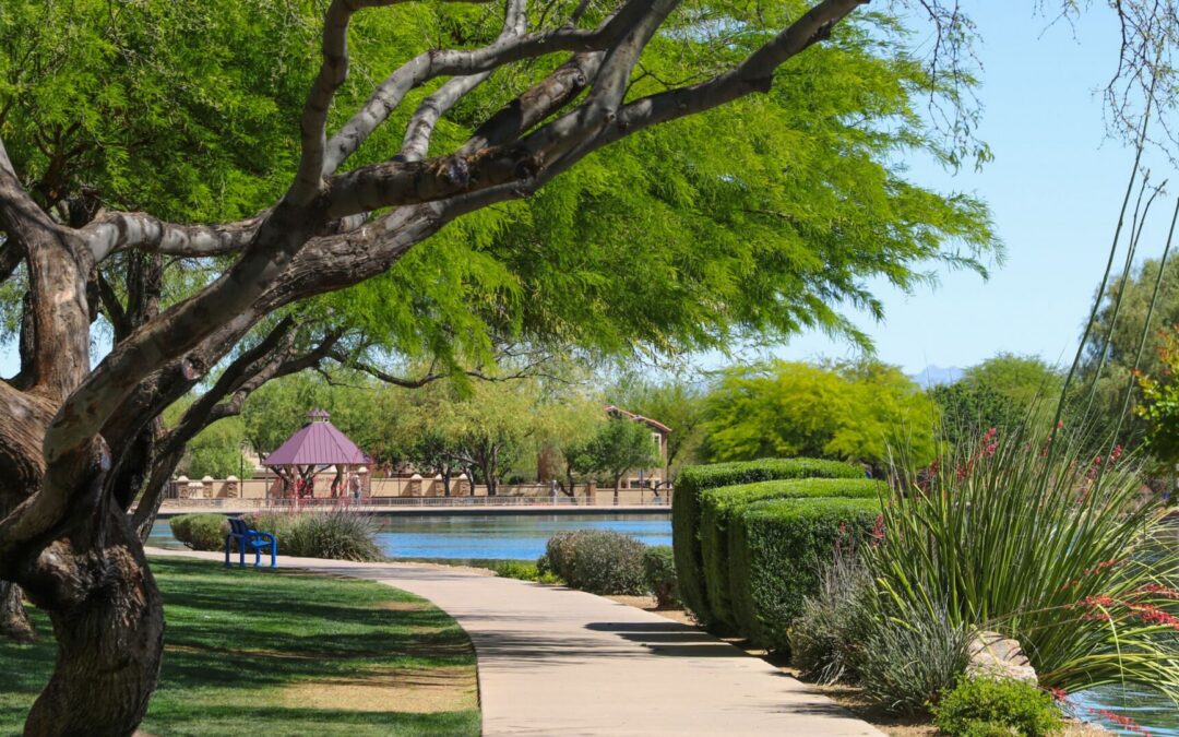 Inside a Master Planned Community: How Rancho Sahuarita Was Designed as a System