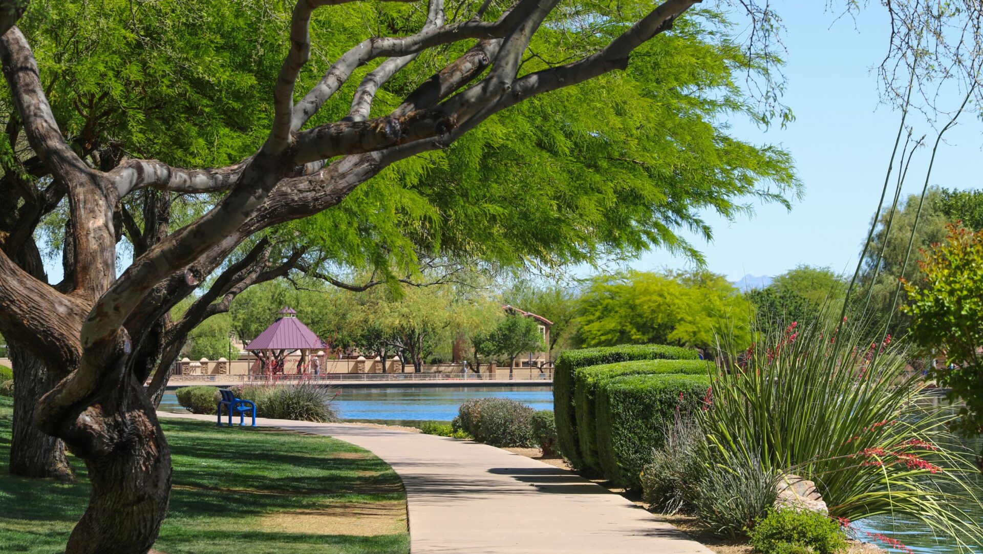 Rancho Sahuarita Lake and Trail A paved path curves through a park with green trees, trimmed bushes, a small lake, and a distant playground under a sunny blue sky—just one of the inviting outdoor spaces you’ll find in the Rancho Sahuarita master planned community.