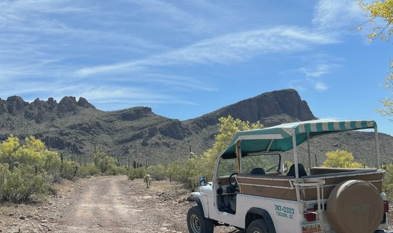 White open-air tour jeep parked on a dirt trail in a desert landscape with saguaro cacti and mountains in the background.